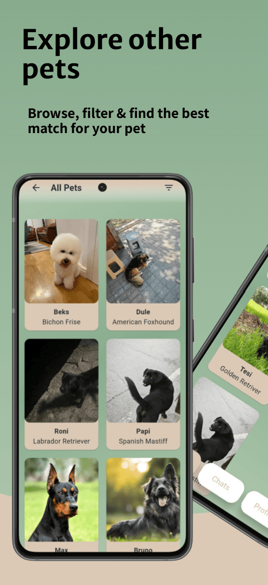 PetDate screenshot 4